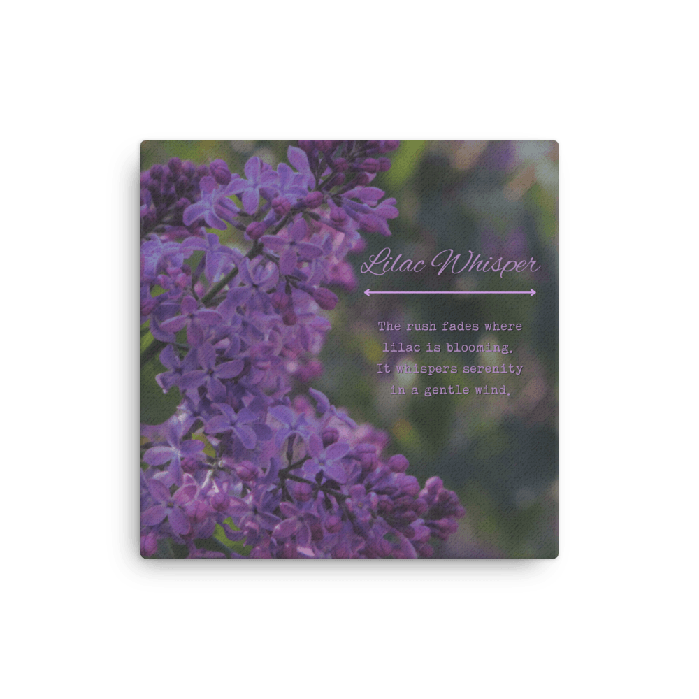 Lilac Whisper - Canvas